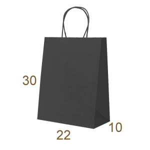 BOLSA NEGRO 30x22x10